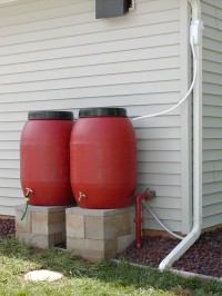 plastic red rain barrels